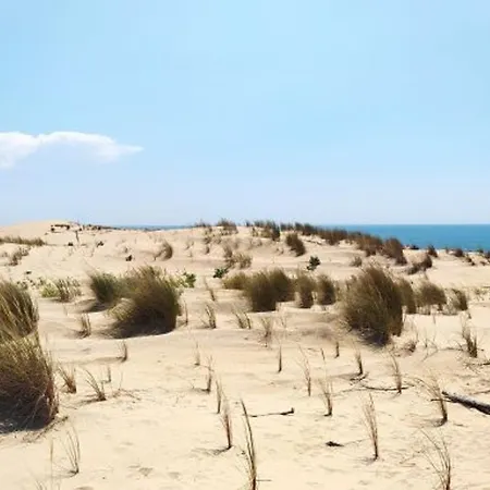 Villa 4 pièces - 6 pers - Proche mer, Animaux admis, Parking - FR-1-705-16 La Palmyre