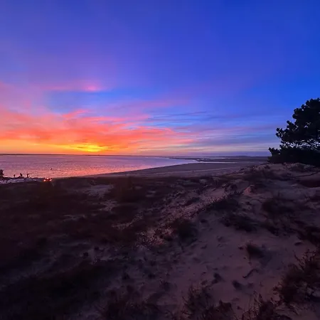 Villa 4 pièces - 6 pers - Proche mer, Animaux admis, Parking - FR-1-705-16 La Palmyre